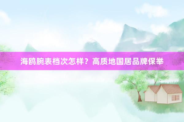 海鸥腕表档次怎样?高质地国居品牌保举